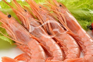進口海鮮 阿根廷紅蝦營養