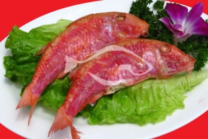 江蘇進口海鮮 紅魚生活習性